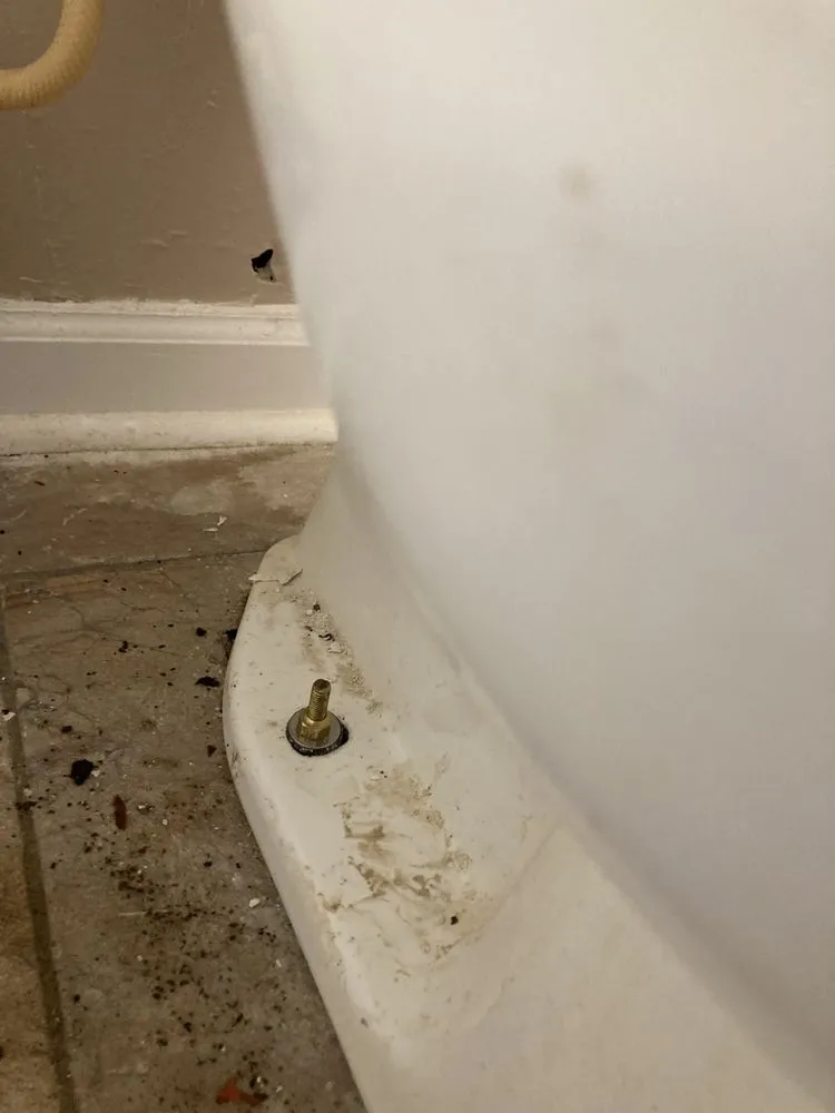 Custom landscaping services in Lafayette, LA by Mr Carroll’s Make Ready Services