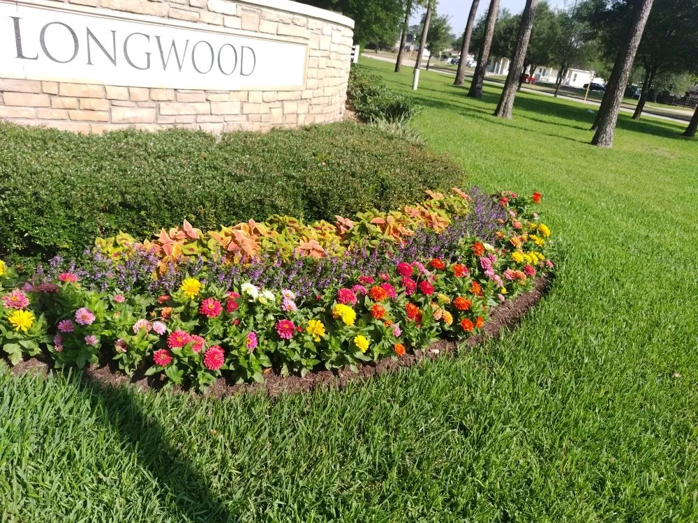 Top-rated yard maintenance in Houston, TX - Mr Chavez