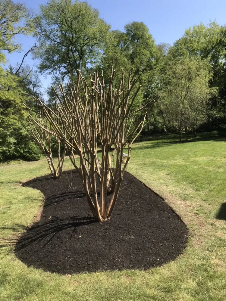 Trusted landscaping services in Franklin, TN by Mr Chavez Landscaping