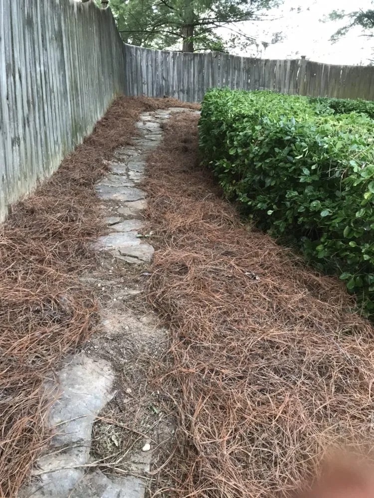 Professional garden landscaping experts serving Franklin, TN - Mr Chavez Landscaping