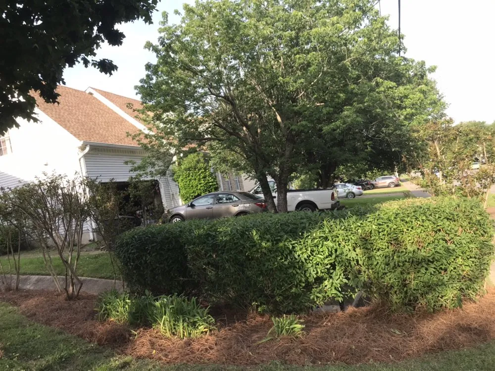 Expert yard maintenance for residential properties in Franklin, TN by Mr Chavez Landscaping