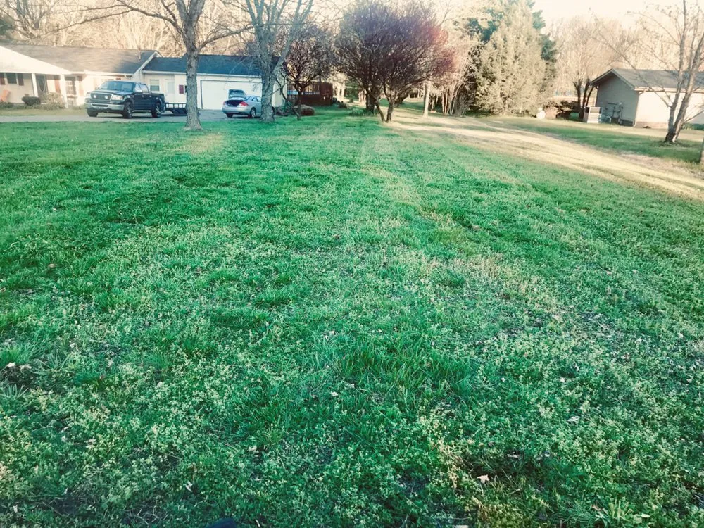 Top-rated garden landscaping for outdoor upgrades across Franklin, TN - Mr Chavez Landscaping