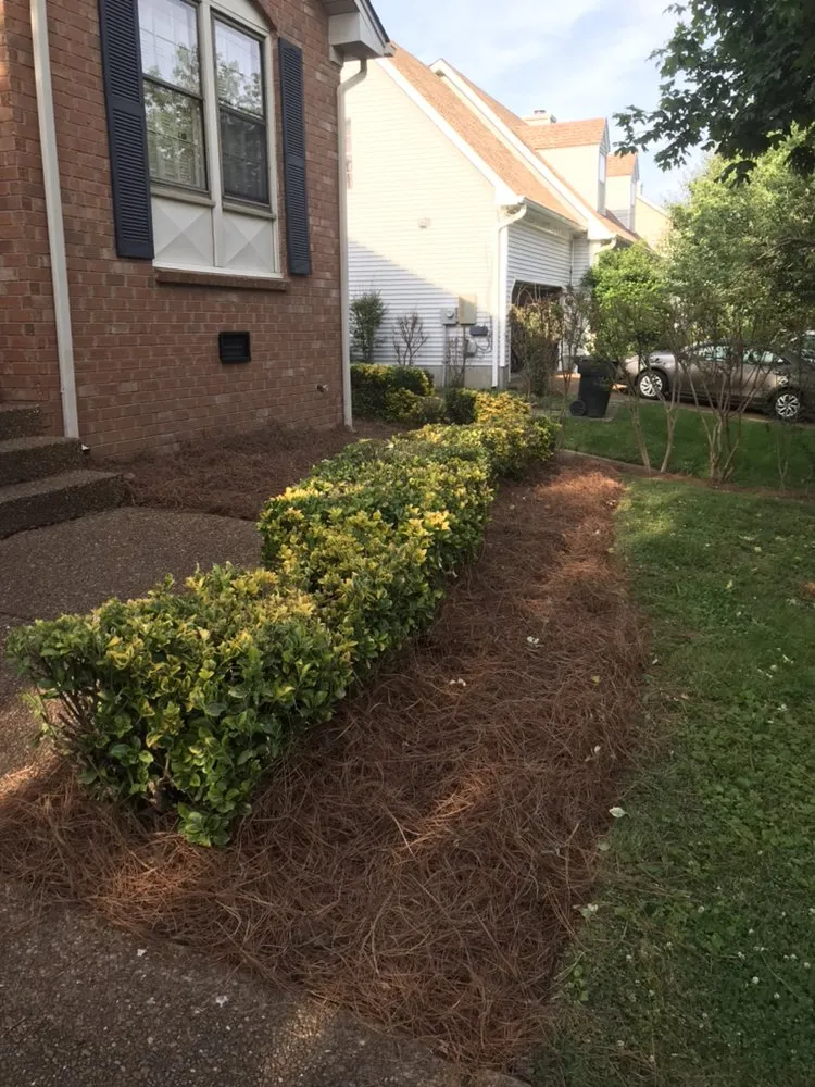Custom yard maintenance with custom design across Franklin, TN - Mr Chavez Landscaping