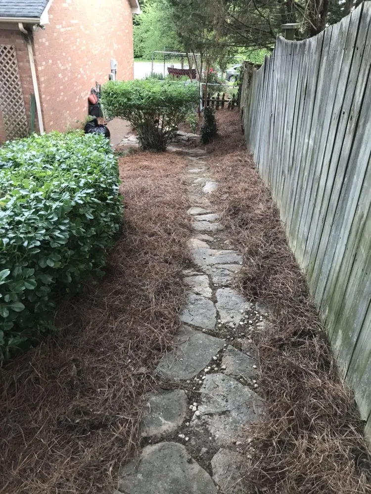 Top-rated yard cleanup service in Franklin, TN - Mr Chavez Landscaping