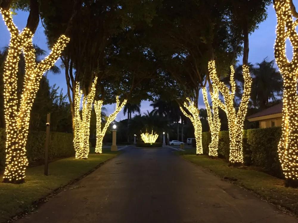 Local landscape installation for beautiful yards in Miami Beach, FL by Mr Christmas Lights