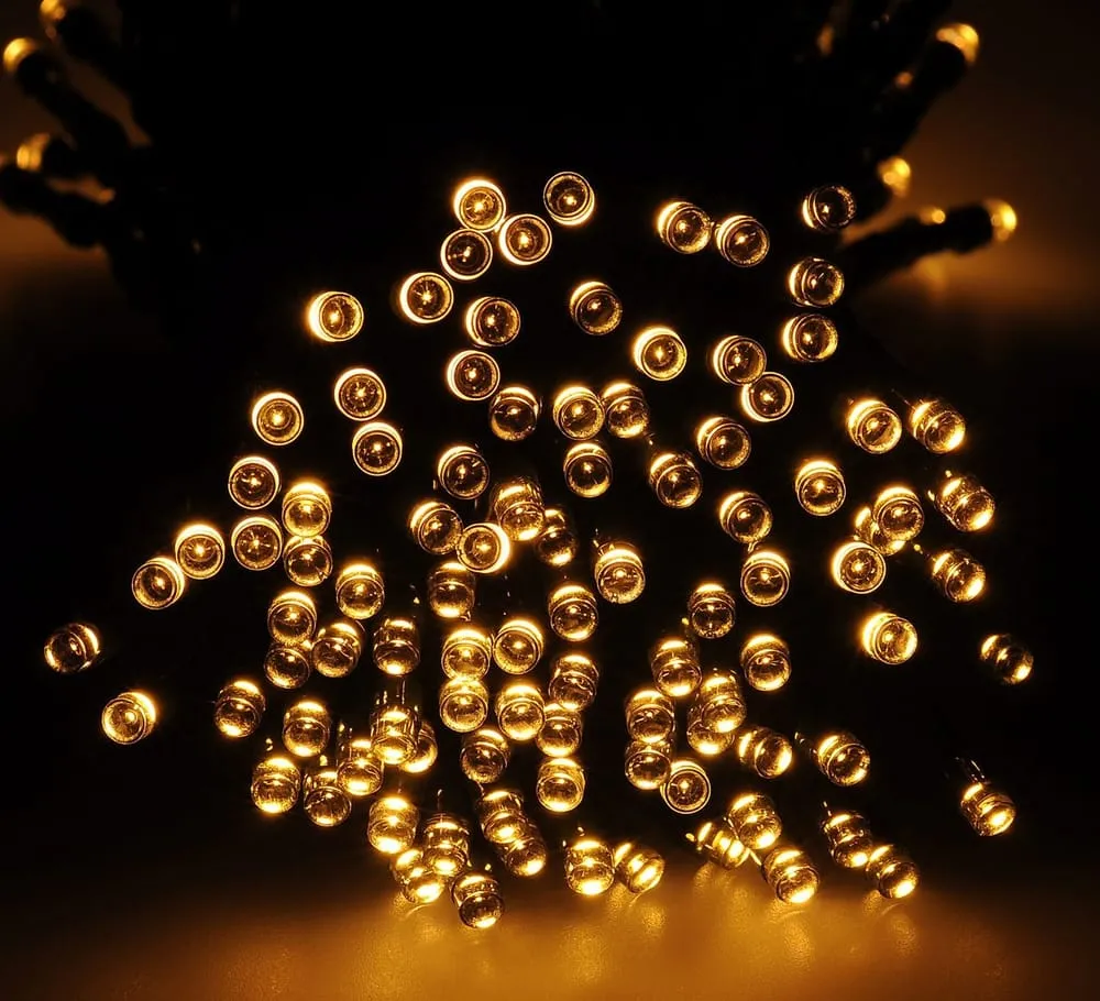 Top-rated garden landscaping for residential properties across Miami Beach, FL - Mr Christmas Lights