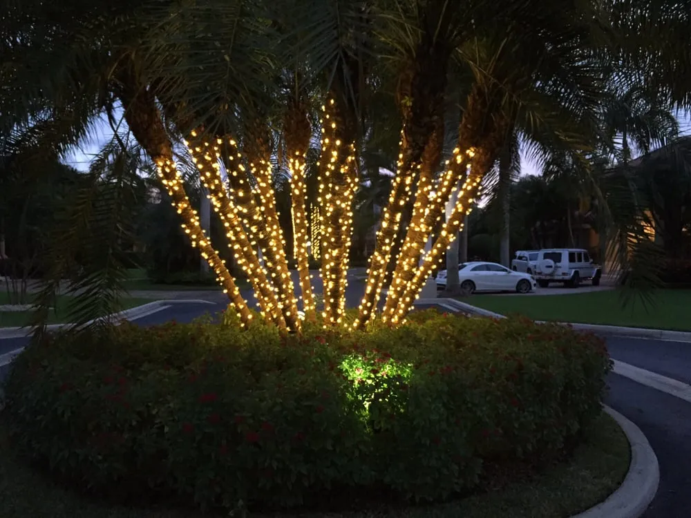 Professional yard cleanup service in Miami Beach, FL - Mr Christmas Lights