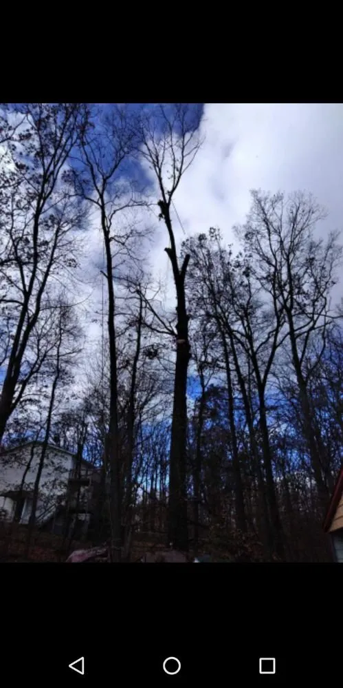 Affordable landscape installation experts serving Owings Mill, MD - Mr Clean Tree