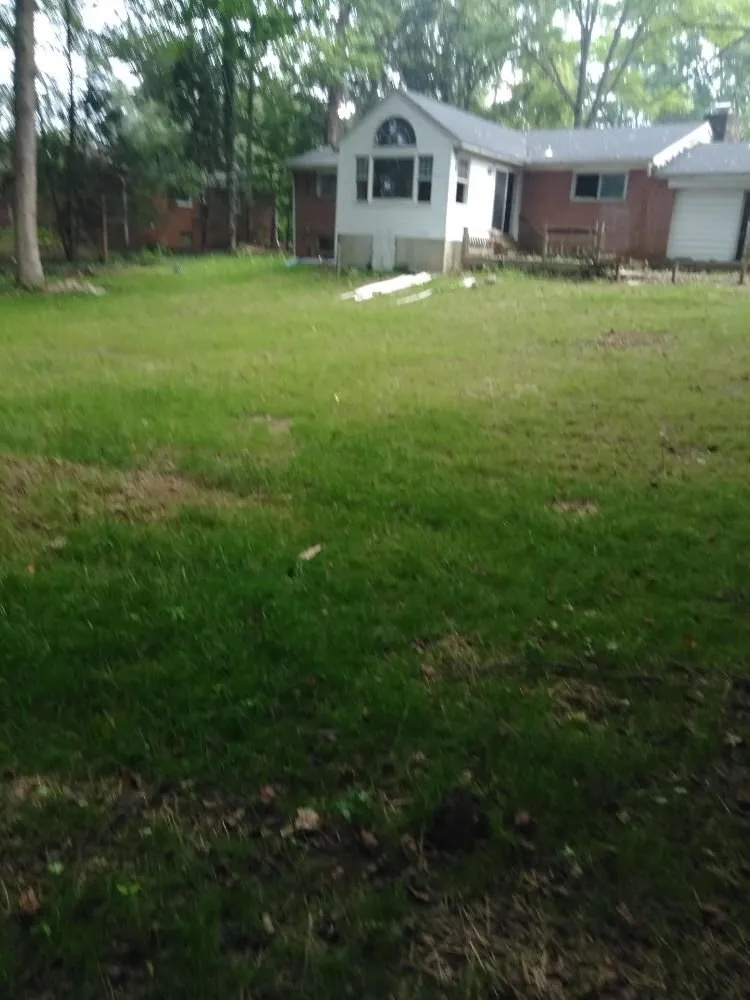 Local landscaping services experts serving Owings Mill, MD - Mr Clean Tree