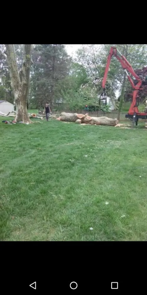 Custom outdoor landscaping in Owings Mill, MD by Mr Clean Tree