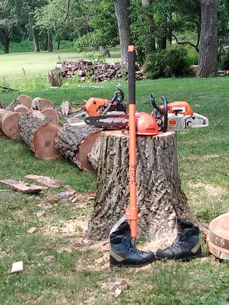 Custom residential landscaping experts serving Owings Mill, MD - Mr Clean Tree