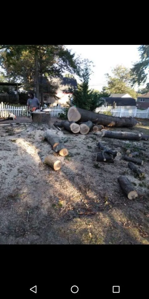 Reliable lawn care service near you in Owings Mill, MD by Mr Clean Tree