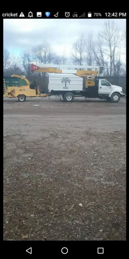 Affordable garden landscaping for outdoor upgrades across Owings Mill, MD - Mr Clean Tree