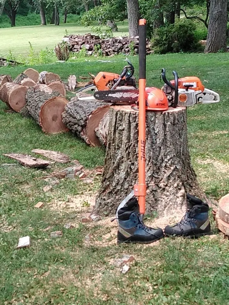 Expert landscaping services experts serving Owings Mill, MD - Mr Clean Tree