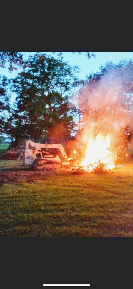 Top-rated outdoor landscaping in Houston, TX by Mr Clean Tree Service