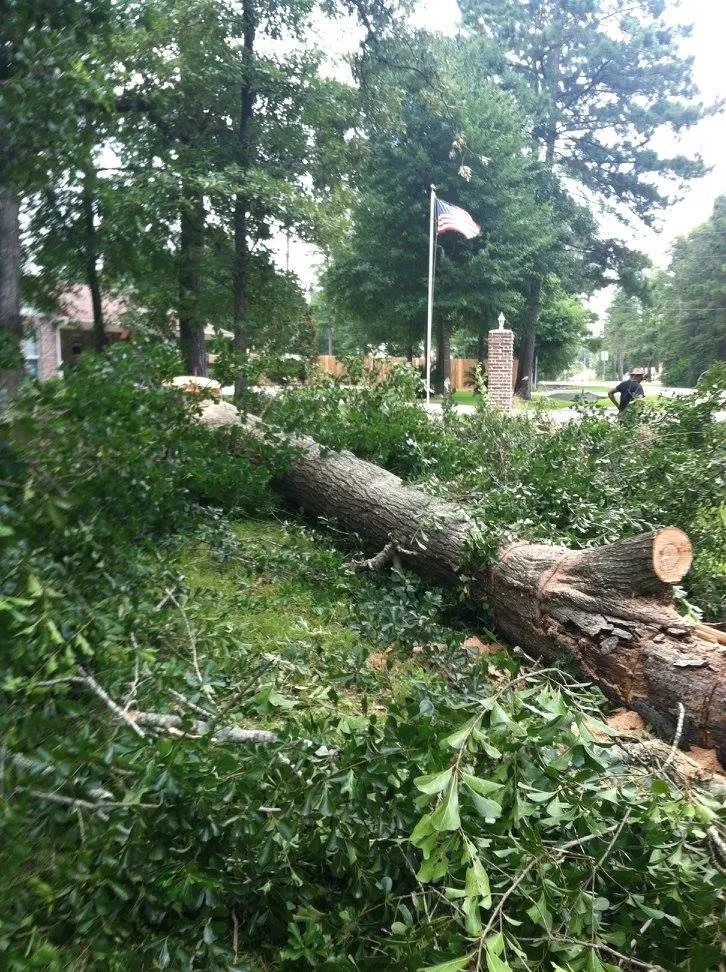 Expert lawn mowing service near you across Houston, TX - Mr Clean Tree Service