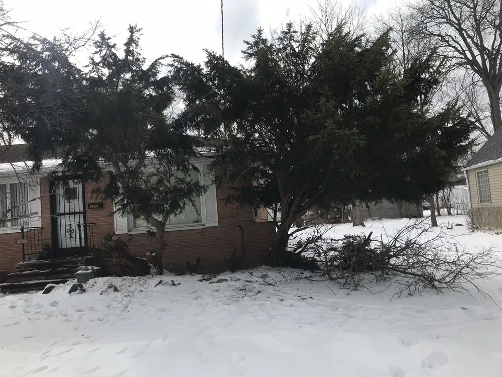 Local landscape design in Cleveland, OH - Mr Clean Up Nice - Euclid Ohio's Preferred Junk Removal