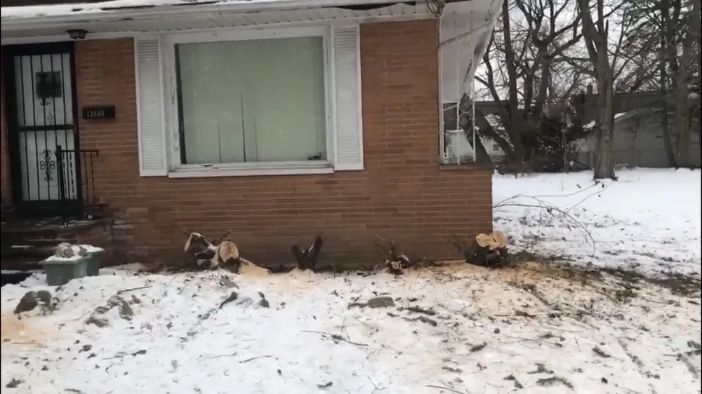 Professional yard cleanup service in Cleveland, OH by Mr Clean Up Nice - Euclid Ohio's Preferred Junk Removal