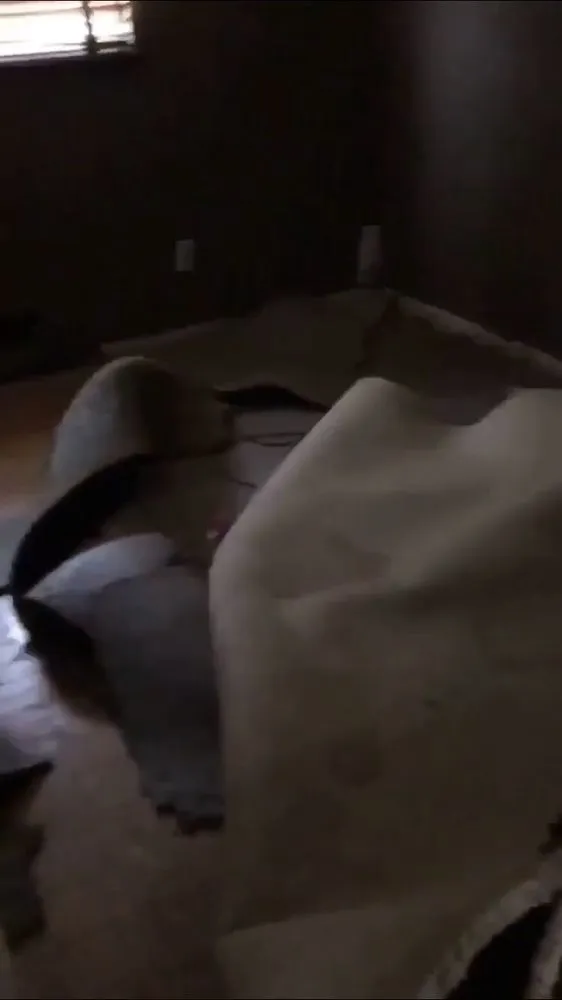 Local lawn care service for outdoor upgrades in Cleveland, OH by Mr Clean Up Nice - Euclid Ohio's Preferred Junk Removal