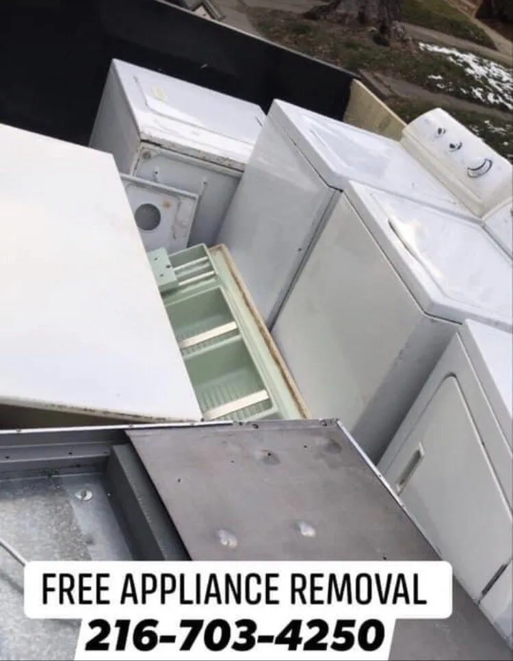 Expert lawn care service for year-round maintenance across Cleveland, OH - Mr Clean Up Nice - Euclid Ohio's Preferred Junk Removal