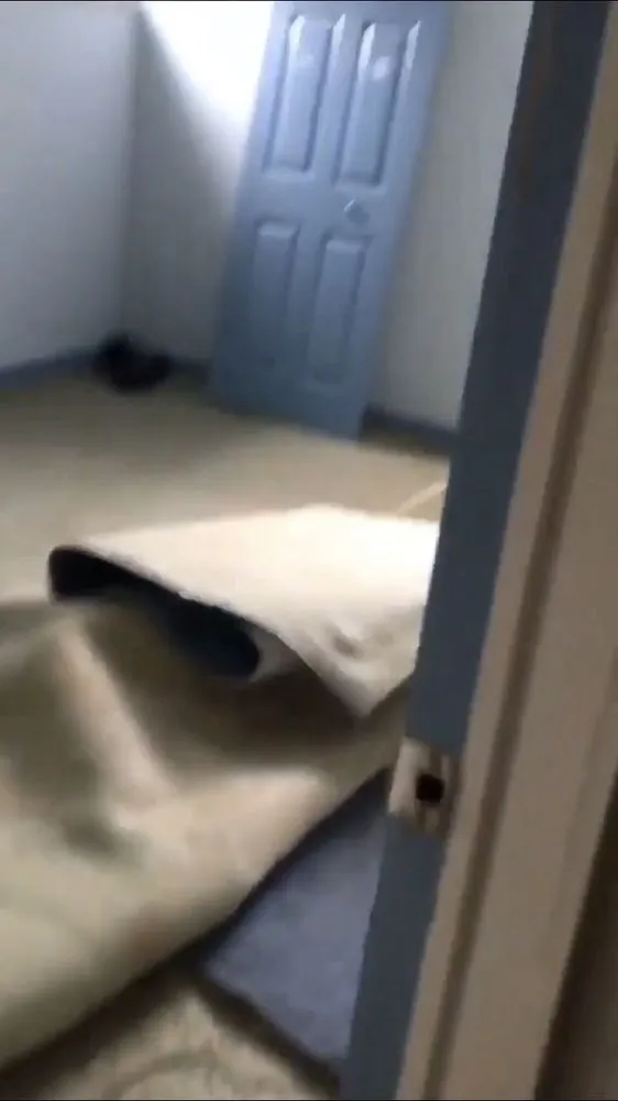 Top-rated landscaping services for year-round maintenance across Cleveland, OH - Mr Clean Up Nice - Euclid Ohio's Preferred Junk Removal