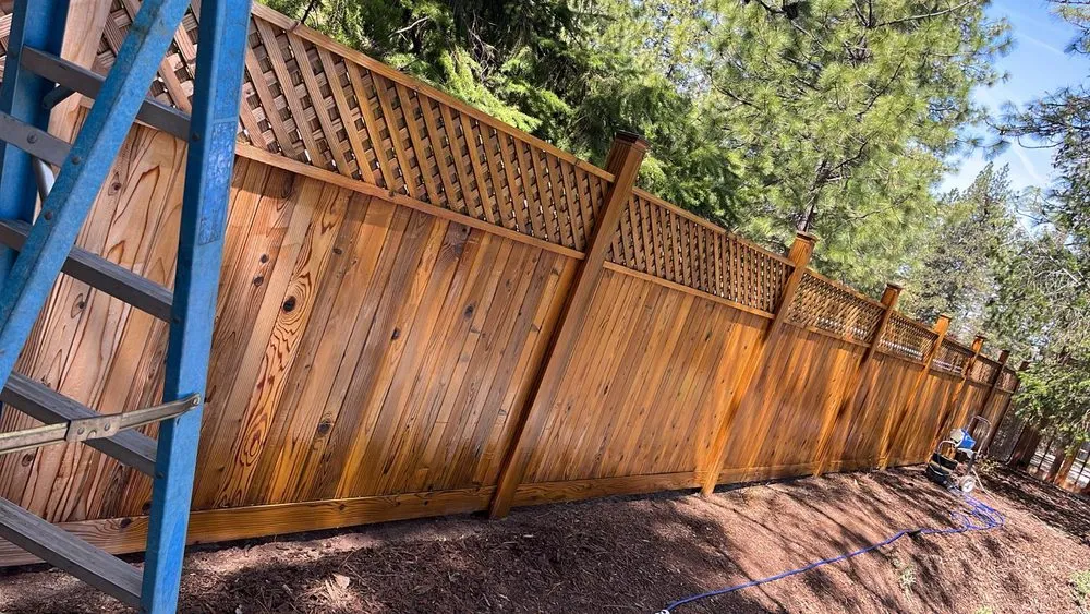 Local yard maintenance in Sacramento, CA by Mr Cleanups