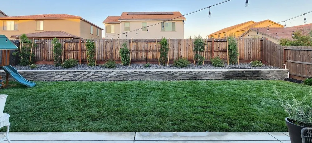 Professional lawn mowing service in Sacramento, CA by Mr Cleanups