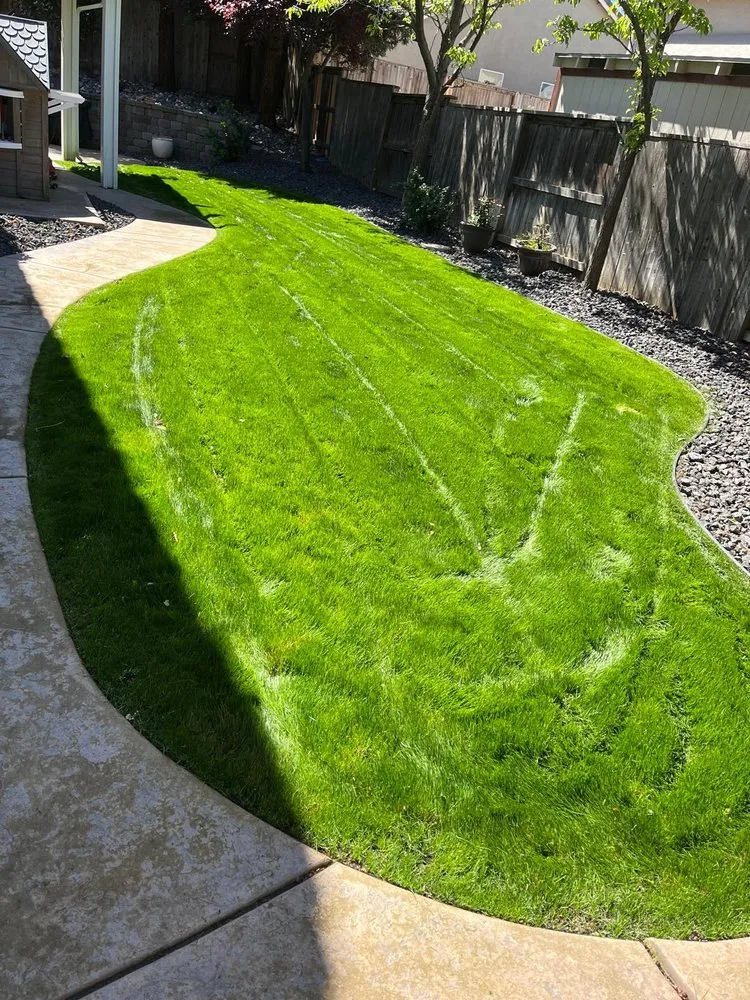 Affordable landscape design for beautiful yards across Sacramento, CA - Mr Cleanups