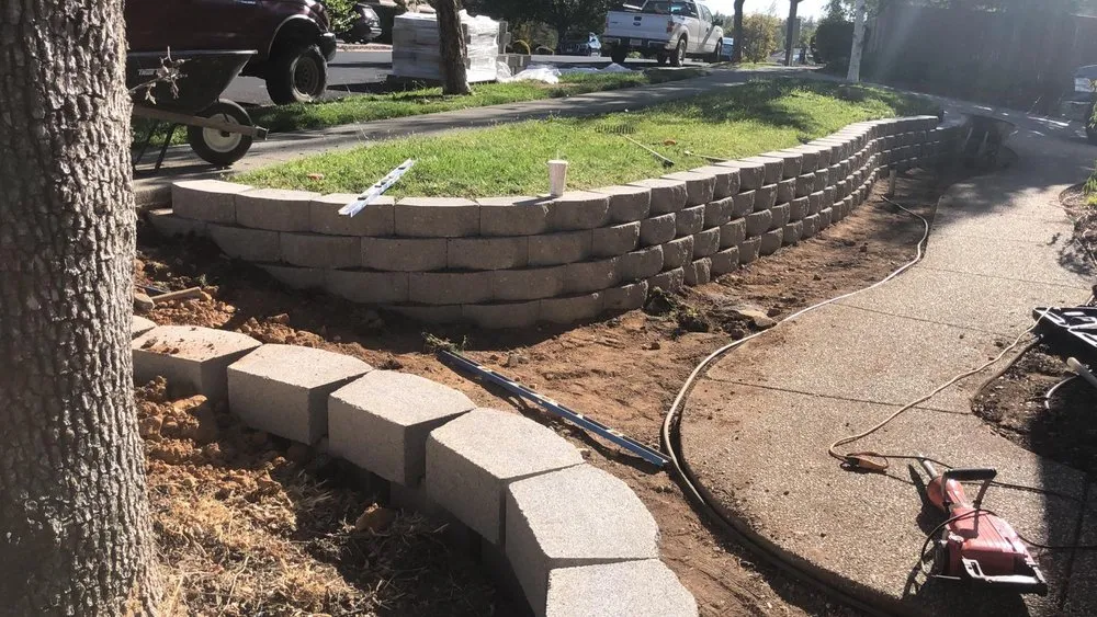 Local lawn care service for year-round maintenance across Sacramento, CA - Mr Cleanups