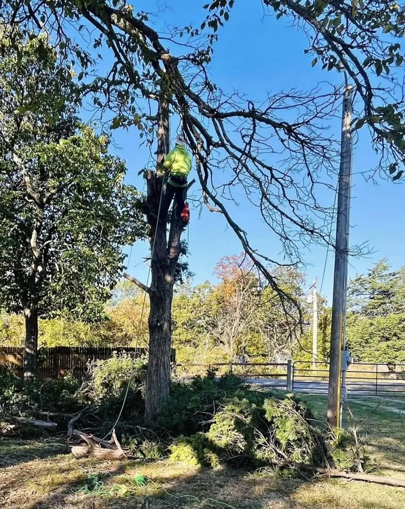 Trusted residential landscaping experts serving Manor, TX - Mr Concrete & Services