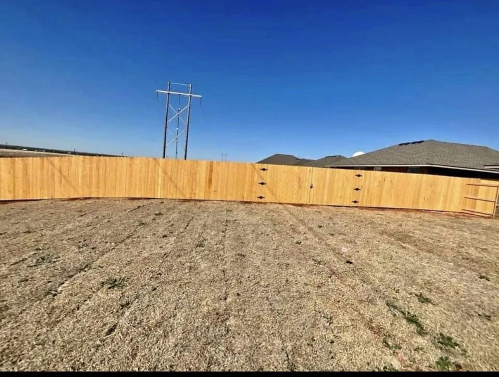 Local landscaping services with custom design in Manor, TX by Mr Concrete & Services