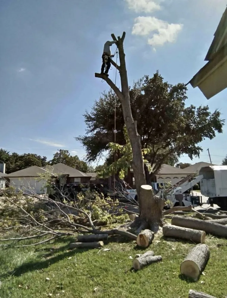 Reliable landscape installation for beautiful yards in Manor, TX by Mr Concrete & Services