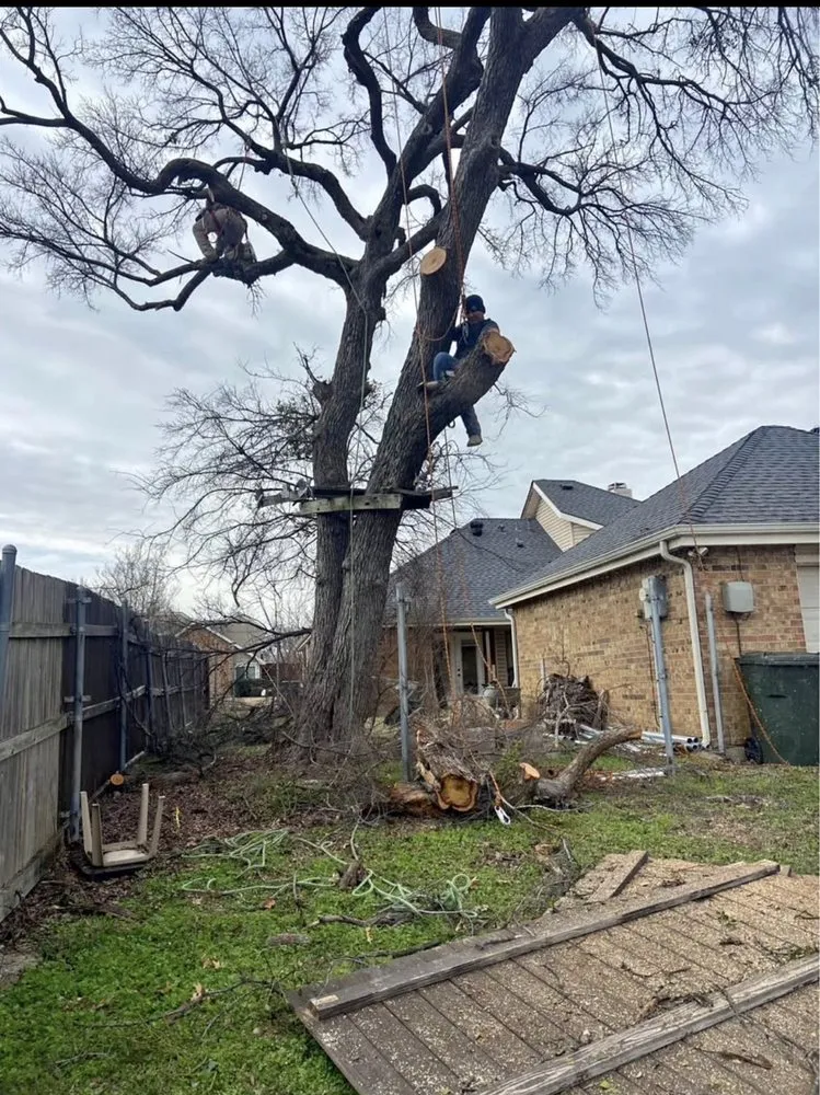 Affordable lawn mowing service for year-round maintenance across Manor, TX - Mr Concrete & Services