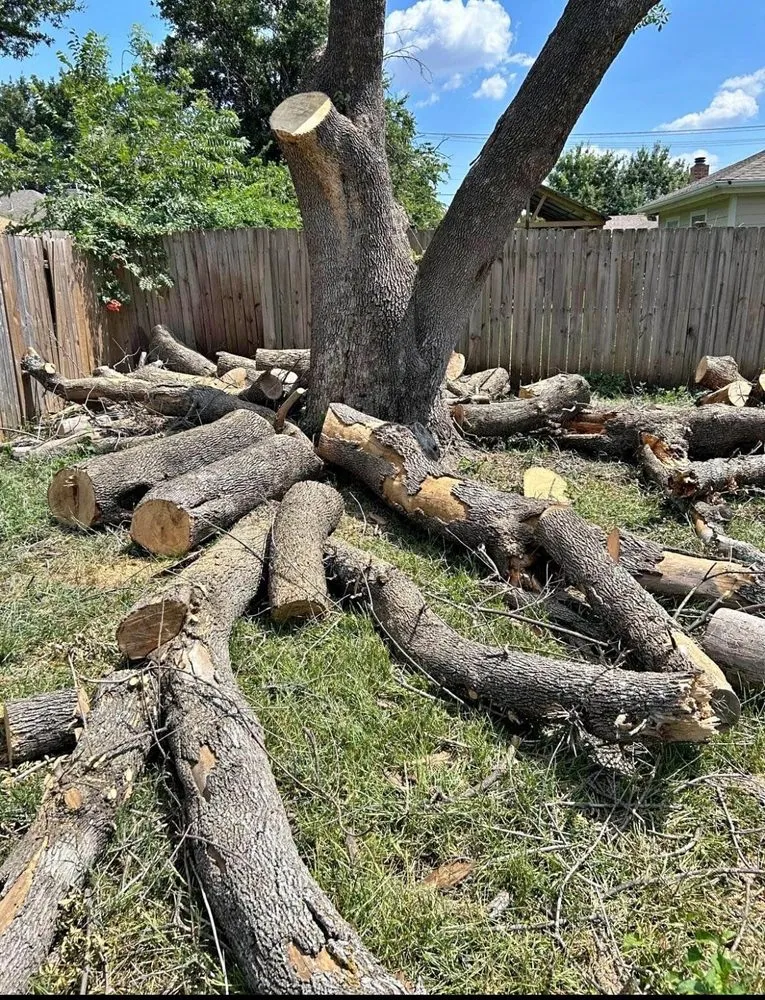 Affordable lawn mowing service in Manor, TX - Mr Concrete & Services