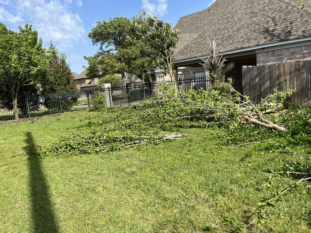 Reliable lawn mowing service experts serving Stafford, TX - MR Concrete and Landscaping