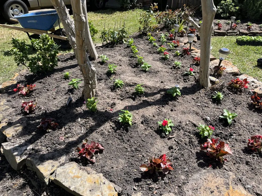 Professional landscape installation for year-round maintenance in Stafford, TX by MR Concrete and Landscaping