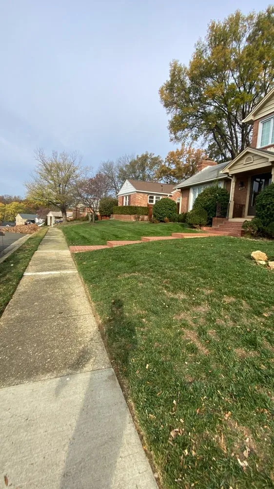 Expert yard cleanup service for residential properties across Wheaton, MD - MR Cortez Landscaping