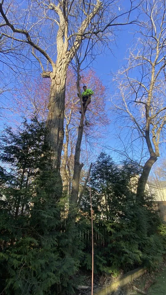 Reliable yard cleanup service for outdoor upgrades across Wheaton, MD - MR Cortez Landscaping