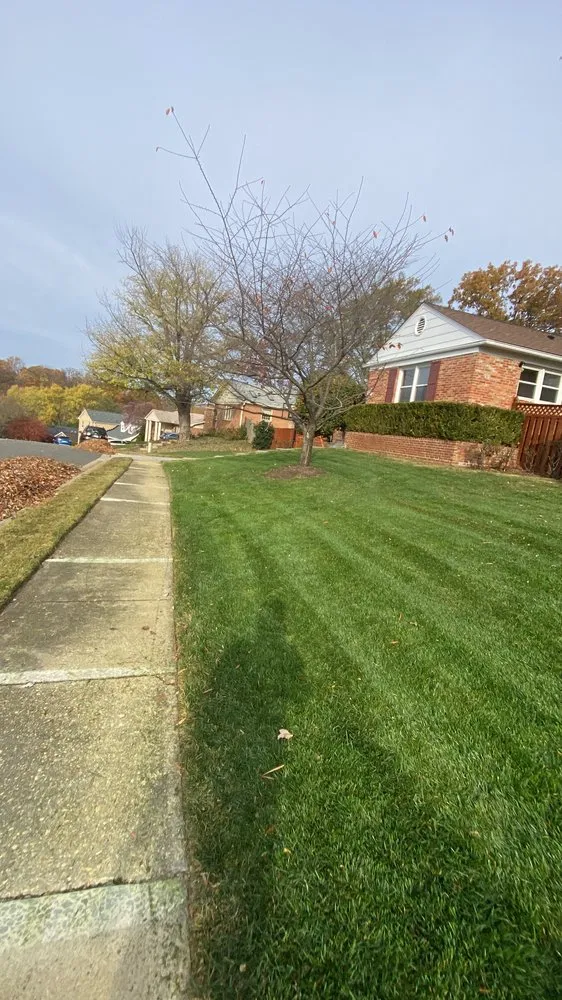 Expert yard cleanup service in Wheaton, MD by MR Cortez Landscaping