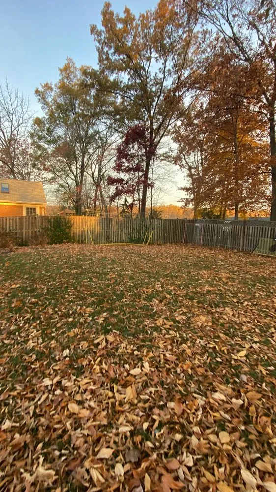 Local landscape installation in Wheaton, MD - MR Cortez Landscaping