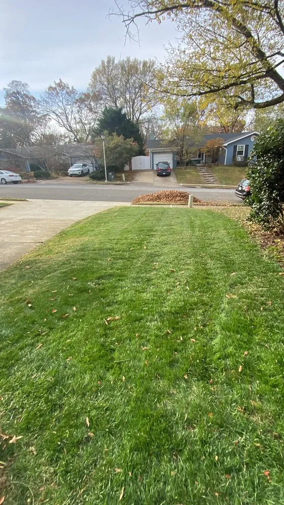 Custom lawn care service for beautiful yards across Wheaton, MD - MR Cortez Landscaping