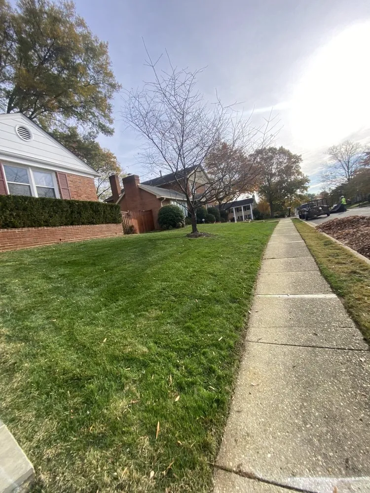 Custom landscaping services in Wheaton, MD by MR Cortez Landscaping