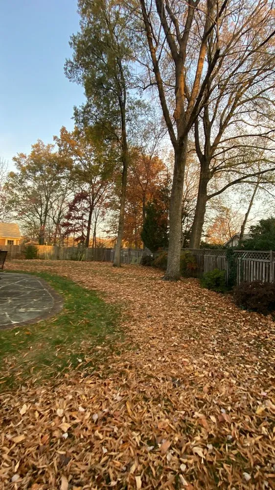 Custom residential landscaping experts serving Wheaton, MD - MR Cortez Landscaping