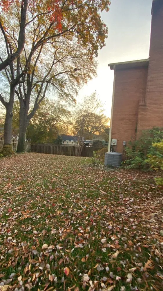 Affordable yard maintenance in Wheaton, MD - MR Cortez Landscaping