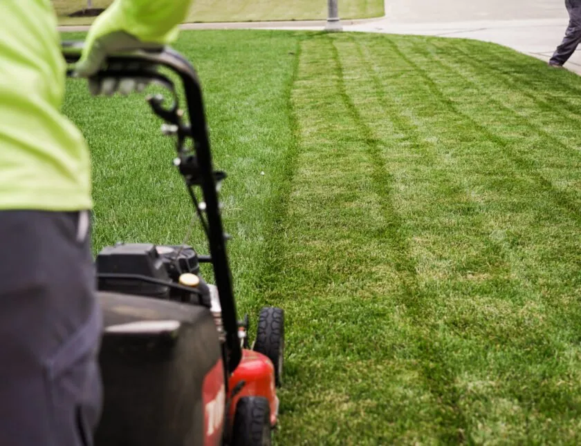 Custom landscaping services for homes across Duncanville, TX - Mr C’s Home Care