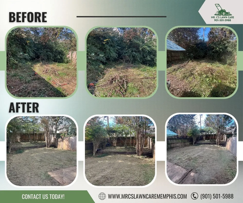 Professional yard cleanup service in Memphis, TN - Mr C's Lawn Care