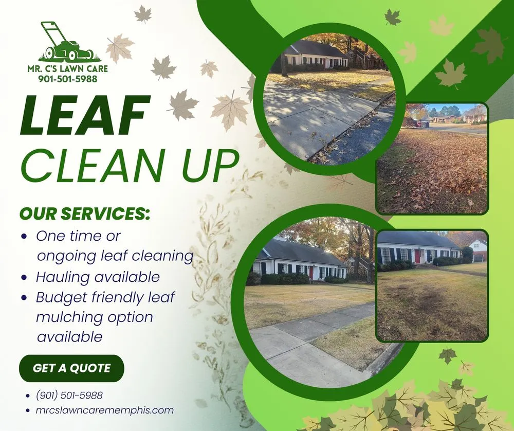 Trusted yard maintenance in Memphis, TN - Mr C's Lawn Care
