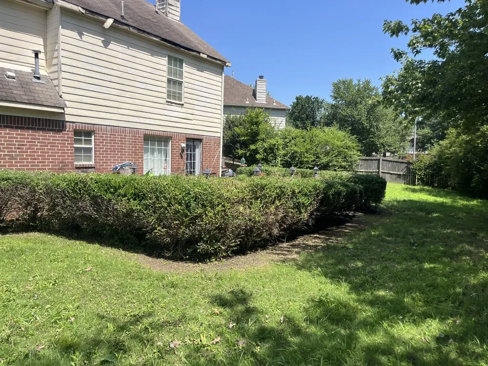 Reliable lawn mowing service experts serving Memphis, TN - Mr C's Lawn Care