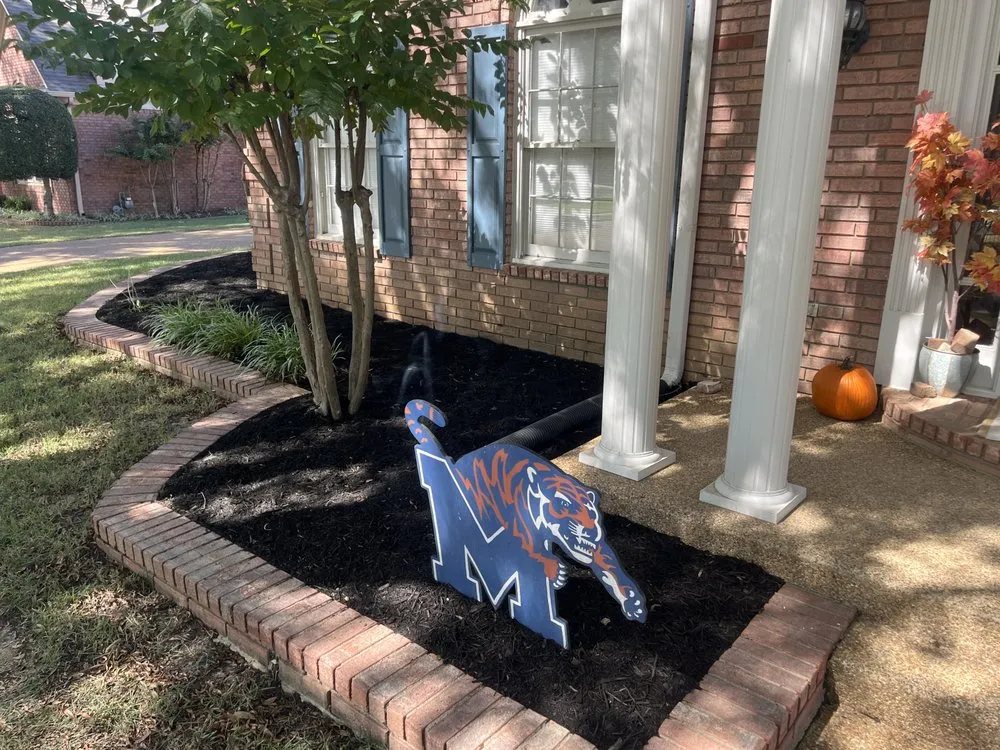 Top-rated yard cleanup service in Memphis, TN by Mr C's Lawn Care