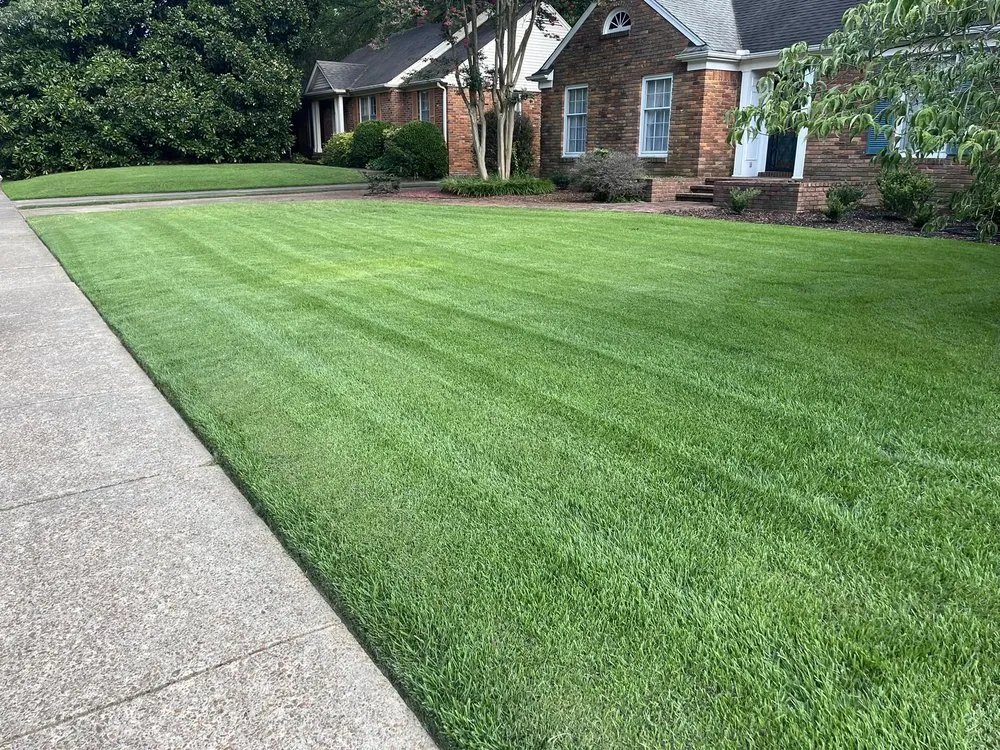 Top-rated landscaping services experts serving Memphis, TN - Mr C's Lawn Care